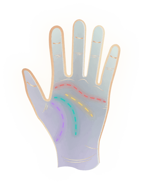 palm illustration